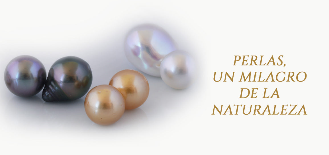 Perlas, un Milagro de la Naturaleza