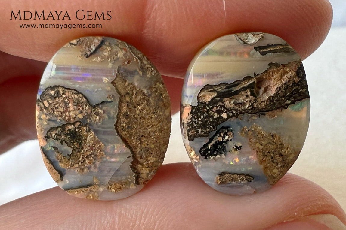 Boulder Wood Fossil Opal Pair from Australia Cabochon Cut 16.14 ct total.  This beautiful untreated pair has many qualities, for starters they are double sided, they show a beautiful pattern with their neon blue, green, red, purple, yellow and orange peeking out from all sides and are a very good size, not too big or very small, so they will be very comfortable and not too heavy earrings.