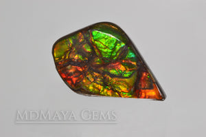 Top Quality Multicolor Ammolite Stone from Canada 22.23 ct