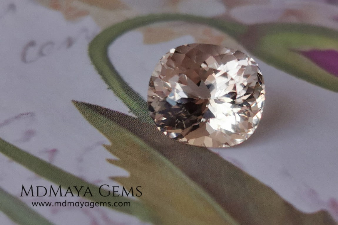 This Morganite has the salmon-to-peach color typical of untreated material. Oval "Portuguese" cut. 2.70 ct. Elegant gem with a spectacular cut, due to its multiple facets it has a great shine, looking stunning from any angle. It will look lovely mounted on any piece of jewelry, a great gem at an incredible price.