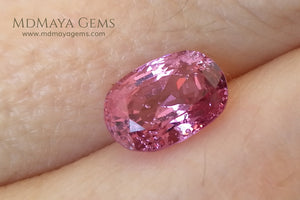 Pink Burmese Spinel Oval cut 2.44 ct under daylight