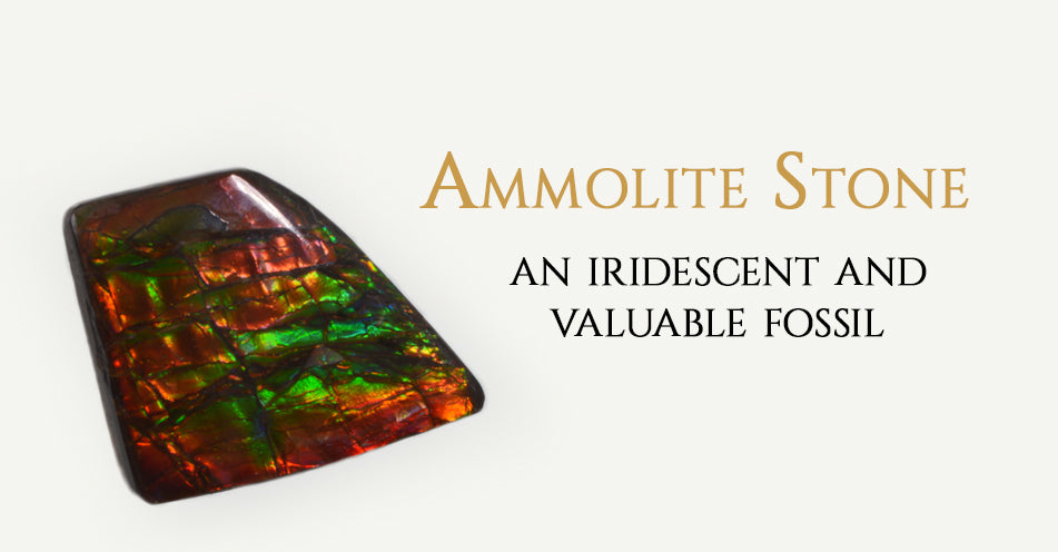 Ammolite Stone an Iridescent and Valuable Fossil
