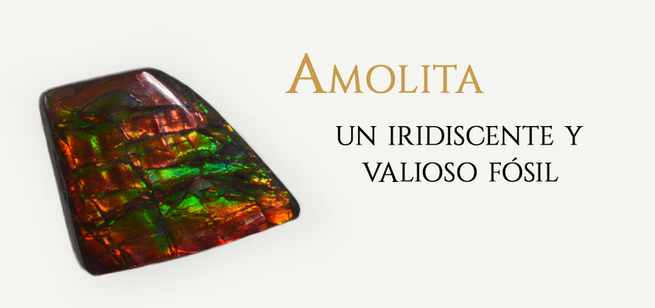 Amolita, un iridiscente y valioso fósil