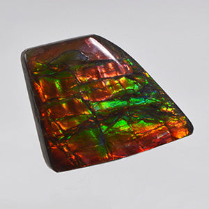 Loose Ammolite for sale