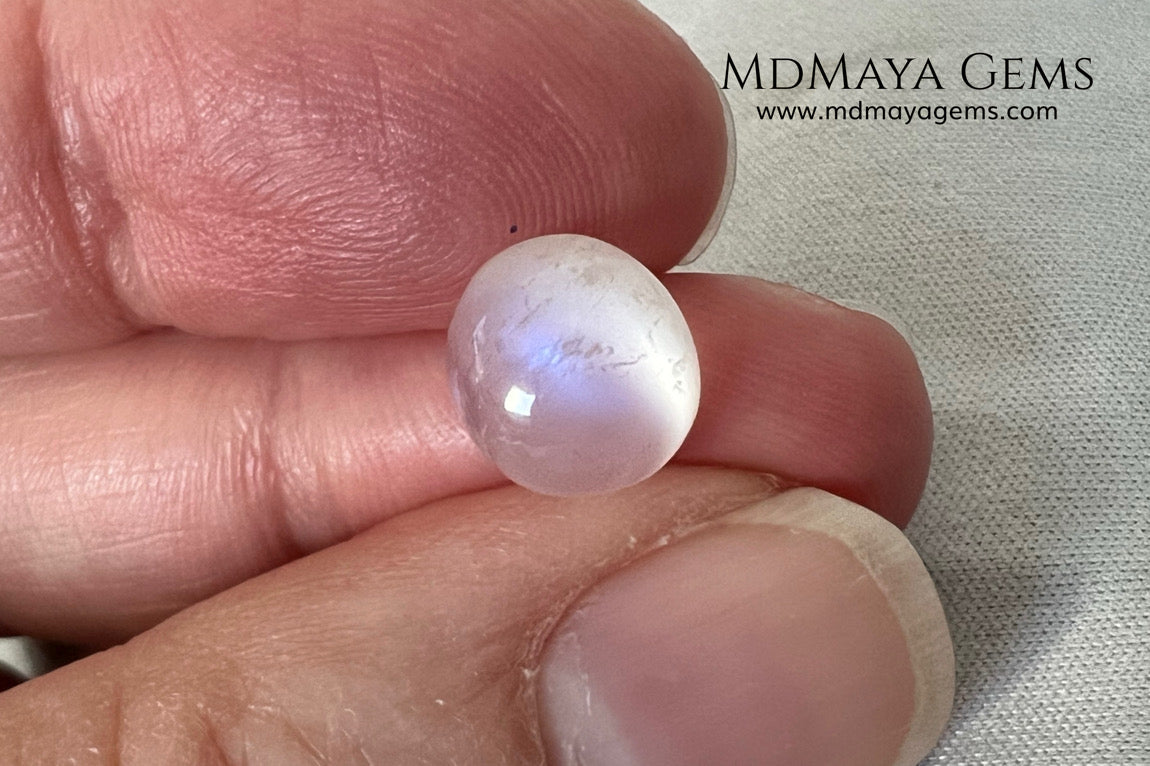 Natural Moonstone 3.67 Ct – Oval Blue Sheen Cabochon from Sri Lanka