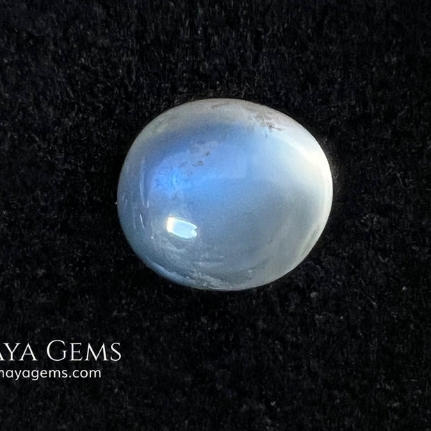 Natural Moonstone 3.67 Ct – Oval Blue Sheen Cabochon from Sri Lanka