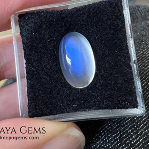 Blue Sheen Moonstone 5.32 ct – Natural Sri Lanka Oval Cabochon