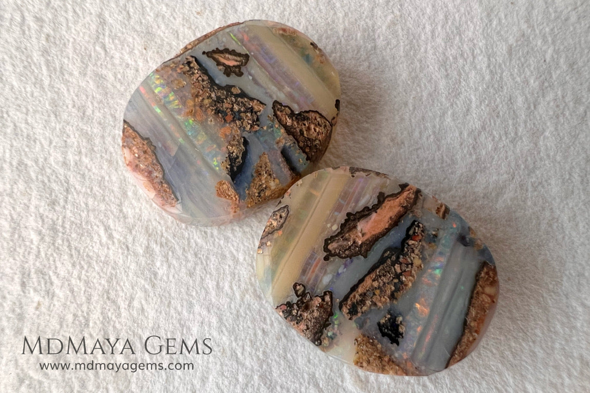 Boulder Wood Fossil Opal Pair from Australia Cabochon Cut 16.14 ct total.  This beautiful untreated pair has many qualities, for starters they are double sided, they show a beautiful pattern with their neon blue, green, red, purple, yellow and orange peeking out from all sides and are a very good size, not too big or very small, so they will be very comfortable and not too heavy earrings.