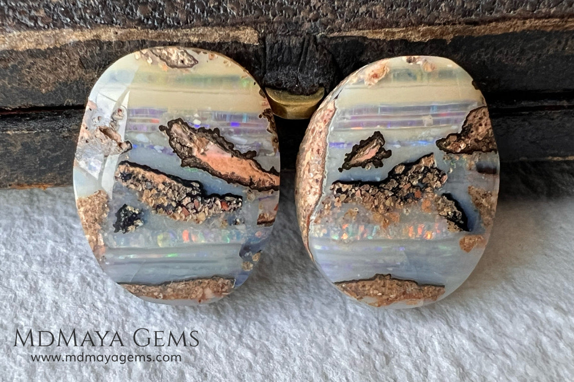 Boulder Wood Fossil Opal Pair from Australia Cabochon Cut 16.14 ct total.  This beautiful untreated pair has many qualities, for starters they are double sided, they show a beautiful pattern with their neon blue, green, red, purple, yellow and orange peeking out from all sides and are a very good size, not too big or very small, so they will be very comfortable and not too heavy earrings.