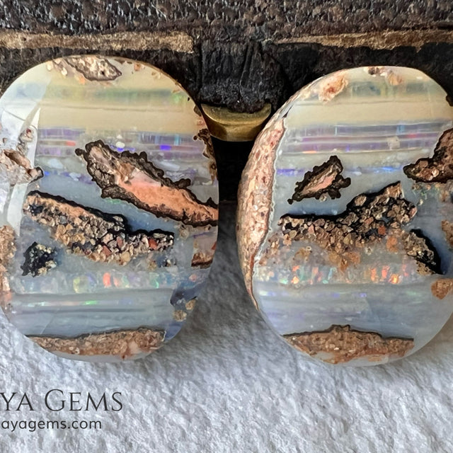 Boulder Wood Fossil Opal Pair from Australia Cabochon Cut 16.14 ct total.  This beautiful untreated pair has many qualities, for starters they are double sided, they show a beautiful pattern with their neon blue, green, red, purple, yellow and orange peeking out from all sides and are a very good size, not too big or very small, so they will be very comfortable and not too heavy earrings.