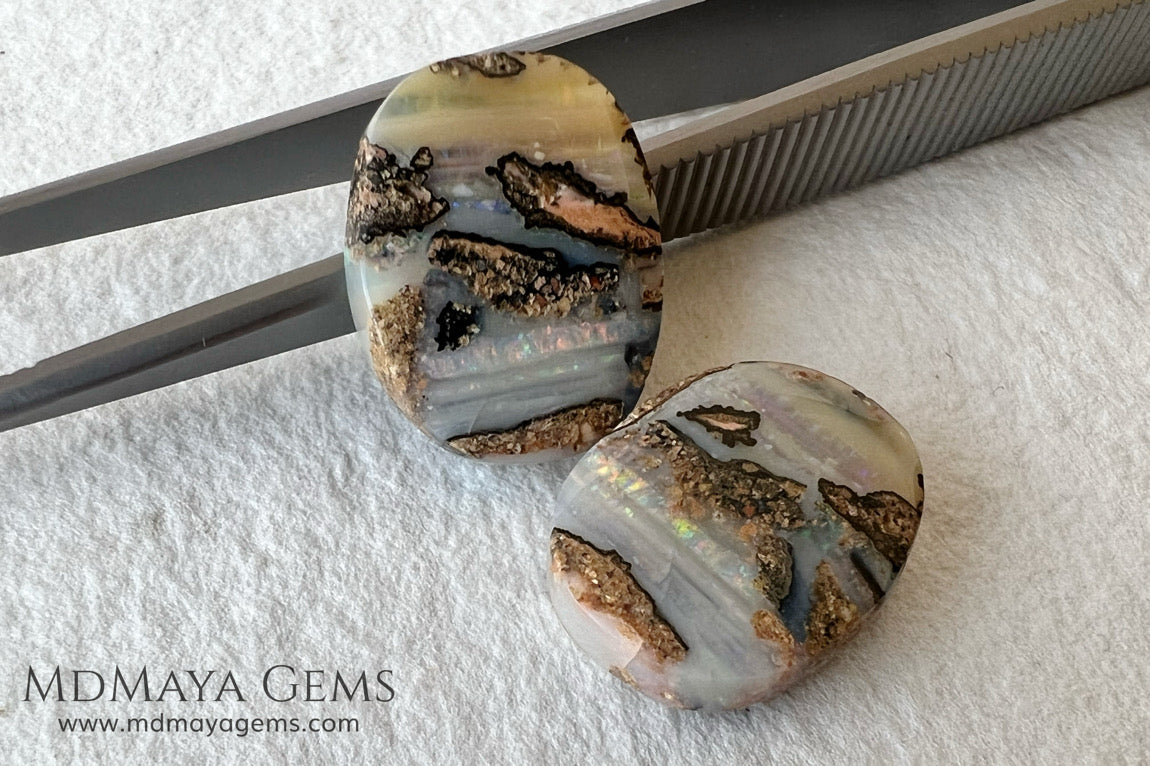 Boulder Wood Fossil Opal Pair from Australia Cabochon Cut 16.14 ct total.  This beautiful untreated pair has many qualities, for starters they are double sided, they show a beautiful pattern with their neon blue, green, red, purple, yellow and orange peeking out from all sides and are a very good size, not too big or very small, so they will be very comfortable and not too heavy earrings.
