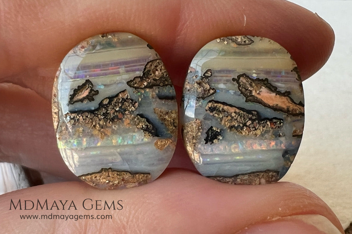 Boulder Wood Fossil Opal Pair from Australia Cabochon Cut 16.14 ct total.  This beautiful untreated pair has many qualities, for starters they are double sided, they show a beautiful pattern with their neon blue, green, red, purple, yellow and orange peeking out from all sides and are a very good size, not too big or very small, so they will be very comfortable and not too heavy earrings.