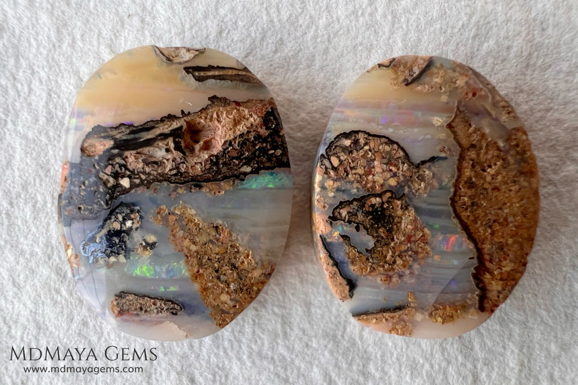 Boulder Wood Fossil Opal Pair from Australia Cabochon Cut 16.14 ct total.  This beautiful untreated pair has many qualities, for starters they are double sided, they show a beautiful pattern with their neon blue, green, red, purple, yellow and orange peeking out from all sides and are a very good size, not too big or very small, so they will be very comfortable and not too heavy earrings.