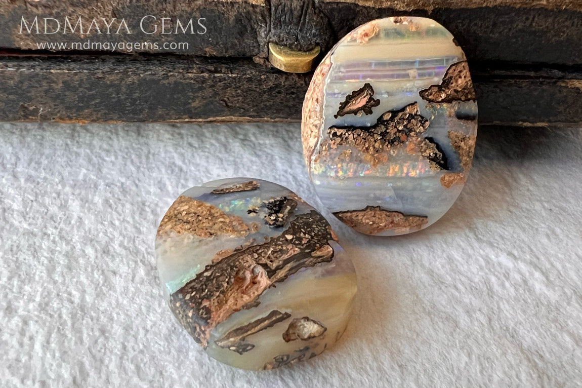 Boulder Wood Fossil Opal Pair from Australia Cabochon Cut 16.14 ct total.  This beautiful untreated pair has many qualities, for starters they are double sided, they show a beautiful pattern with their neon blue, green, red, purple, yellow and orange peeking out from all sides and are a very good size, not too big or very small, so they will be very comfortable and not too heavy earrings.
