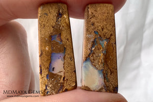 Australian Boulder Wood Fossil Opal Pair. Cabochon Cut 31.07 ct total.