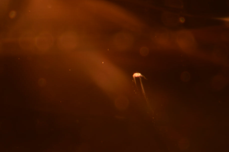 7.74 ct Yellowish Orange Topaz – Cushion Cut (Pakistan)