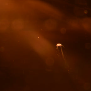 7.74 ct Yellowish Orange Topaz – Cushion Cut (Pakistan)