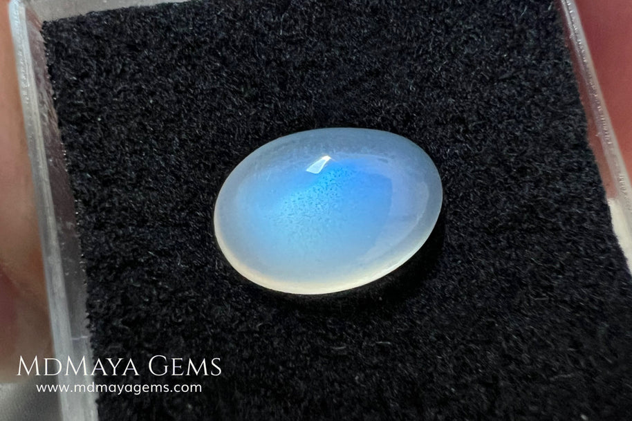 Natural Blue Sheen Moonstone 3.66 Ct Oval Cabochon – Sri Lanka
