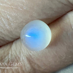 Natural Round Moonstone 4.10 Ct – Blue Sheen Cabochon from Sri Lanka
