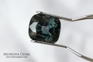 Gorgeous greenish gray spinel, 3.13 ct, cushion cut. This natural and untreated gemstone has an antique cut, its size is ideal, neither too big nor too small. Its behaviour under light is amazing, has a beautiful color under incandescent light, and contains a small treasure inside, another small spinel fully formed, a delight both outside and inside. Mother nature is perfect. It will be ideal in any jewel that you want to personalize. Spinels are gems with rising value.
