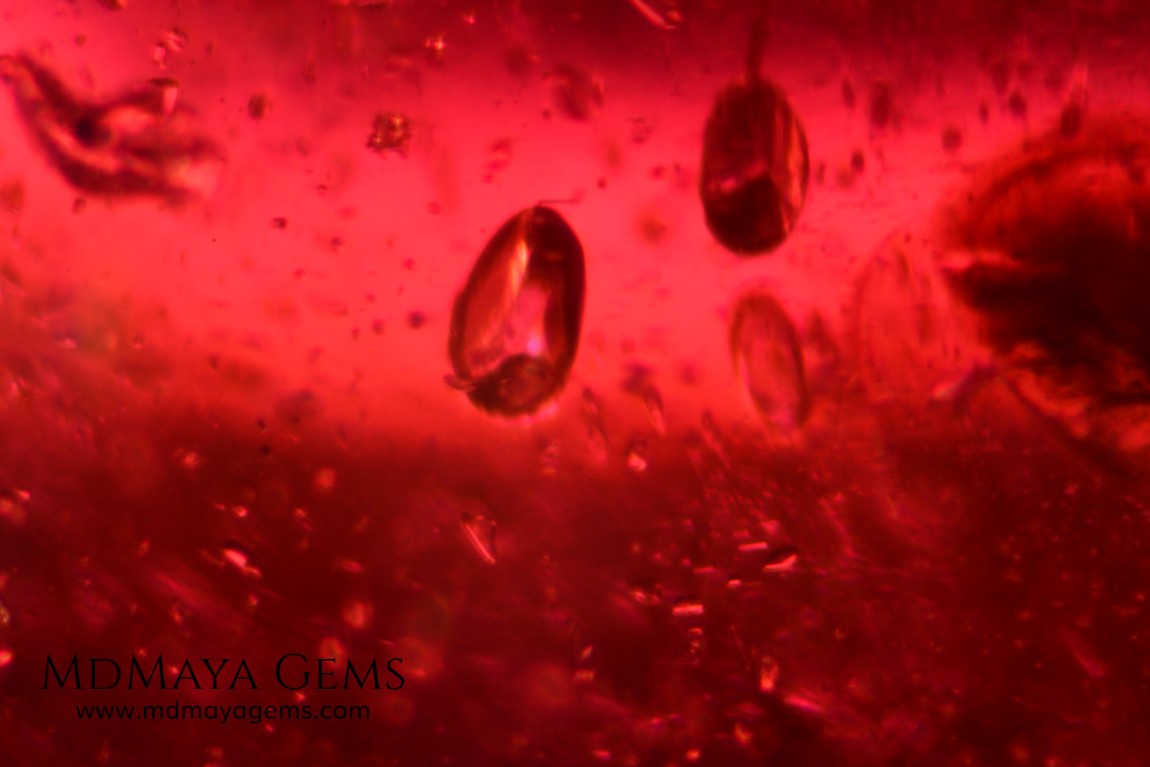 Solid inclusions in Rhodolite garnet 7.30 ct