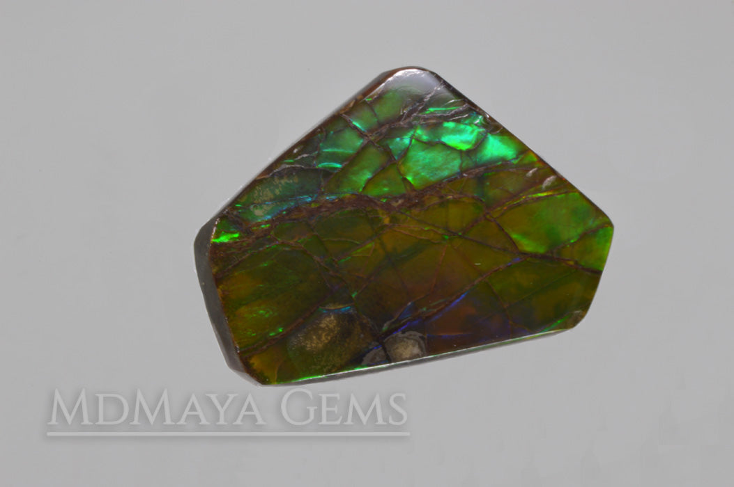 Green Ammolite Gemstone 10.77 ct from Canada