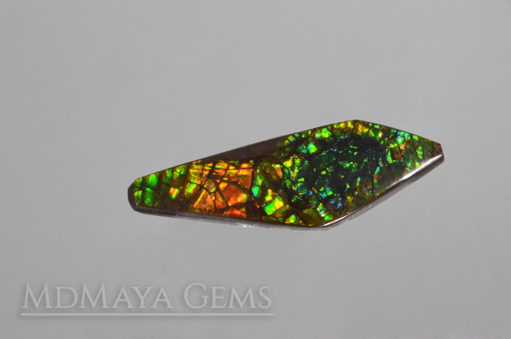 Ammolite stones sale for sale