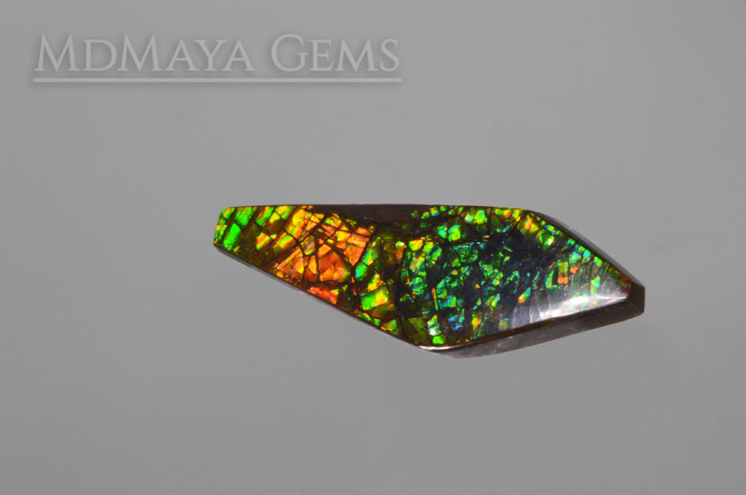 12.54 ct Cabochon Multicolor Ammolite Stone