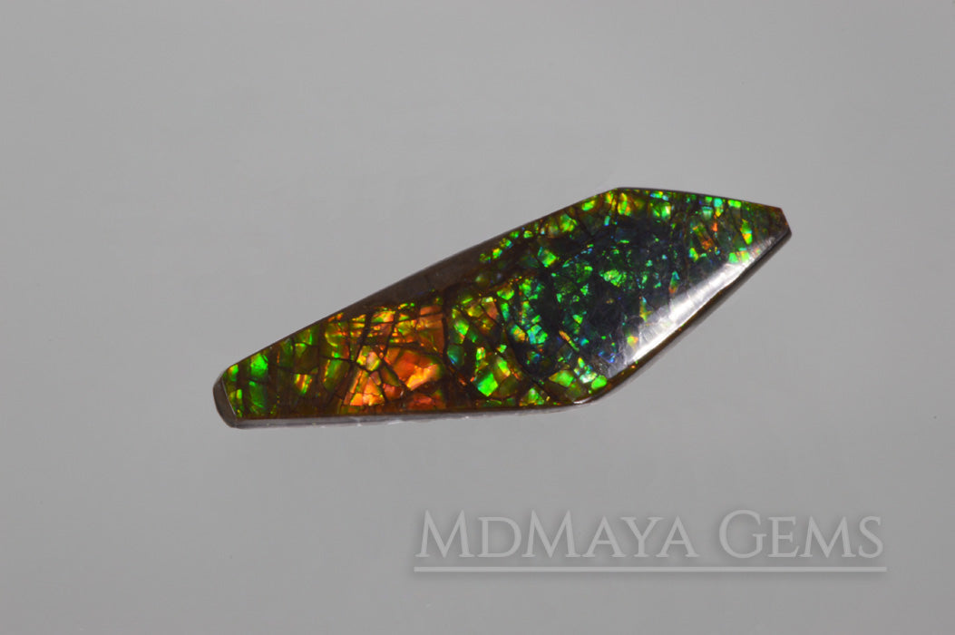 12.54 ct Cabochon Multicolor Ammolite Stone