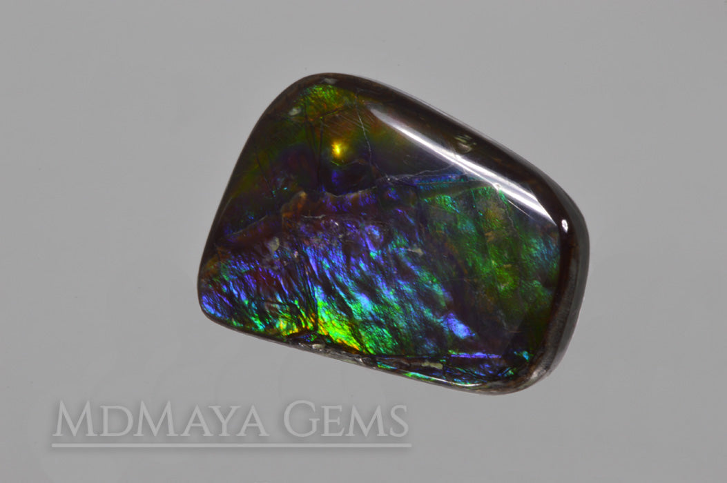 Multicolour Ammolite Stone 15.05 ct. from Canada