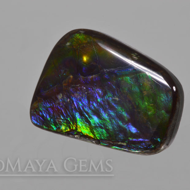 Multicolour Ammolite Stone 15.05 ct. from Canada