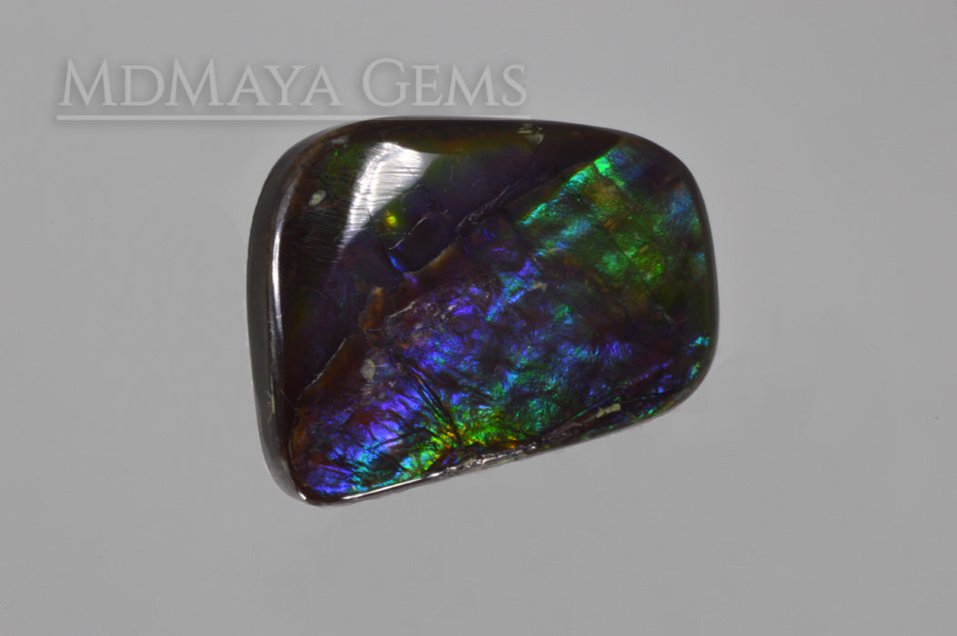 Multicolour Ammolite Stone 15.05 ct. from Canada