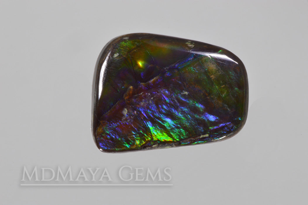 Multicolour Ammolite Stone 15.05 ct. from Canada