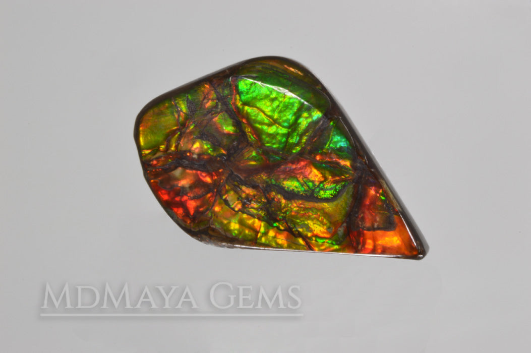 Top Quality Multicolor Ammolite Stone from Canada 22.23 ct