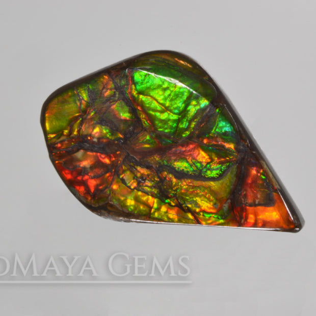 Top Quality Multicolor Ammolite Stone from Canada 22.23 ct