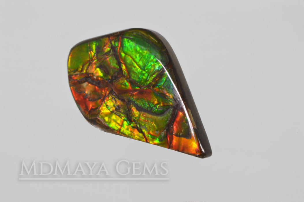 Top Quality Multicolor Ammolite Stone from Canada 22.23 ct