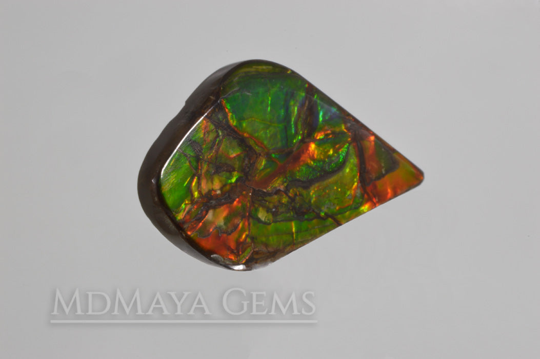 Top Quality Multicolor Ammolite Stone from Canada 22.23 ct