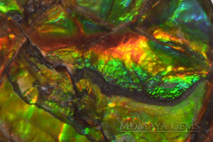 Top Quality Multicolor Ammolite Stone from Canada 22.23 ct
