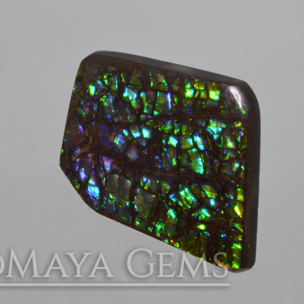 Stained Glass Ammolite Gemstone 22.80 carat from Canada