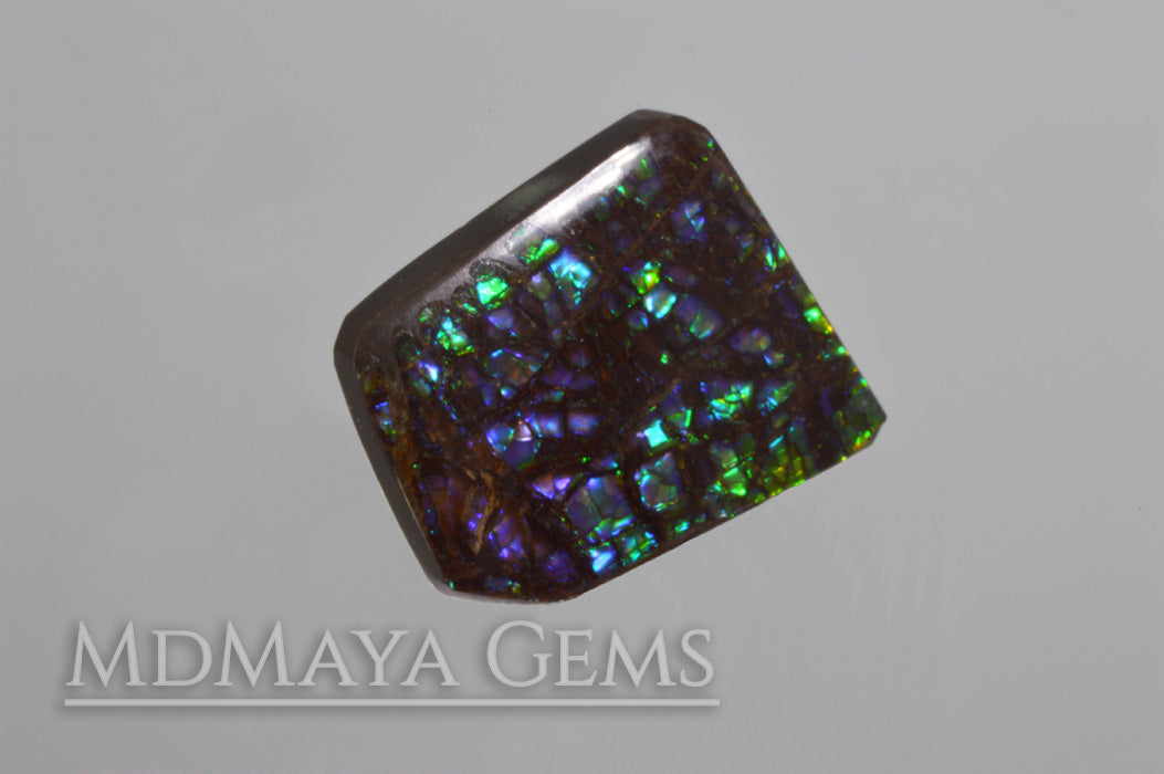 Stained Glass Ammolite Gemstone 22.80 carat from Canada