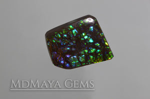 Stained Glass Ammolite Gemstone 22.80 carat from Canada