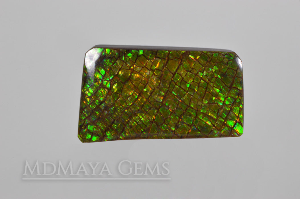 Beautiful Dragonskin Green Canadian Ammolite 23.74 ct.