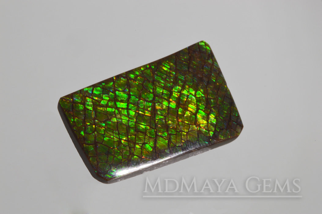 Beautiful Dragonskin Green Canadian Ammolite 23.74 ct.