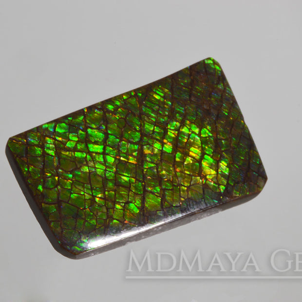 Beautiful Dragonskin Green Canadian Ammolite 23.74 ct.