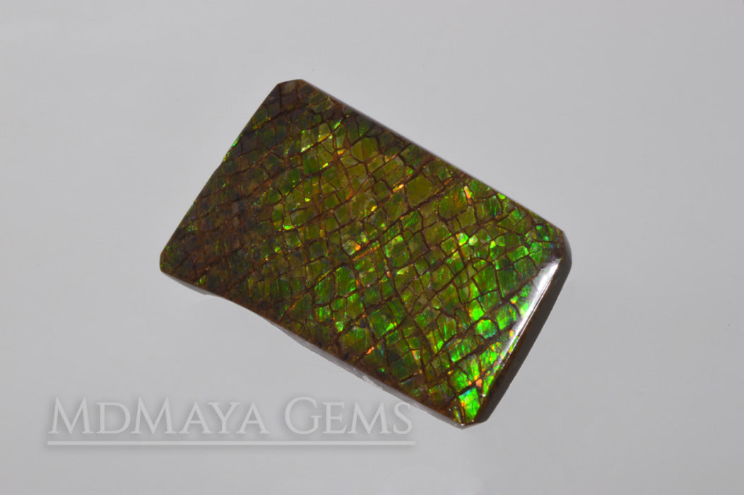 Beautiful Dragonskin Green Canadian Ammolite 23.74 ct.