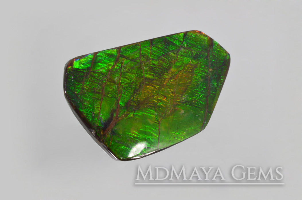 Shimmering Large Ammolite 24.43 carat from Canada,
