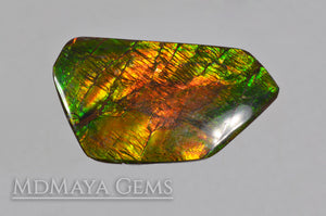 Shimmering Large Ammolite 24.43 carat from Canada,