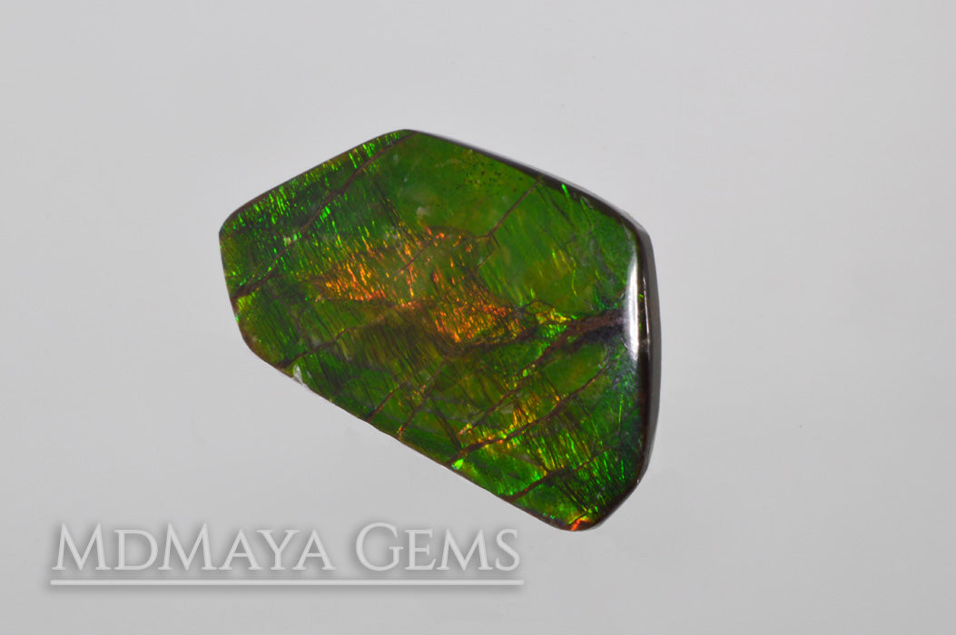 Shimmering Large Ammolite 24.43 carat from Canada