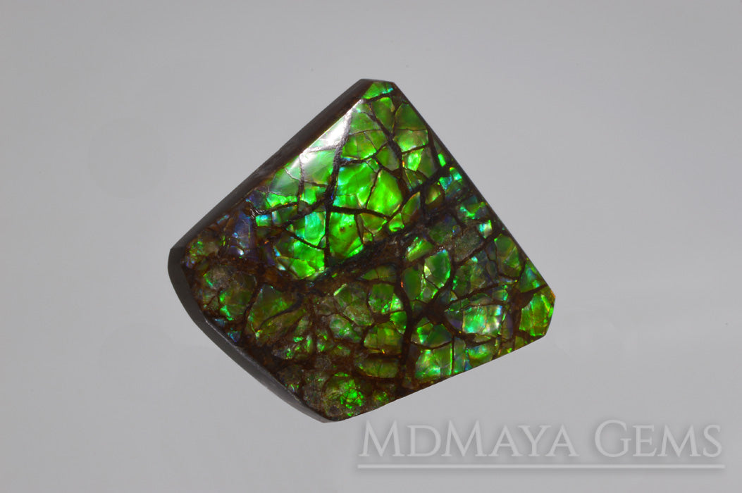 Iridescent Green Ammolite Gemstone 28.24 ct freeform Cabochon 