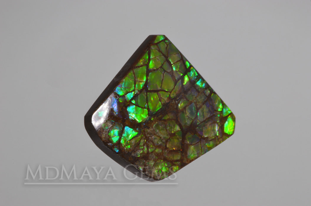Iridescent Green Ammolite Gemstone 28.24 ct freeform Cabochon 